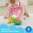 thumbnail image 3 of Fisher-Price Poppity Pop Turtle Push-Along Vehicle with Sounds for Infant Crawling Play, 3 of 8