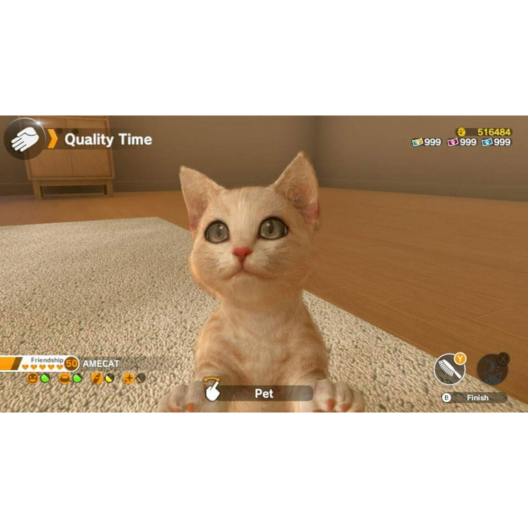 Little Friends: Dogs & Cats - Nintendo Switch : Video