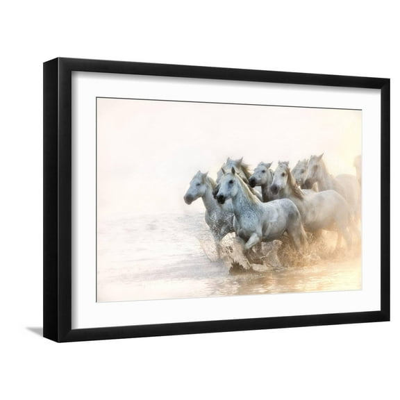 Art.com White Horses of Camargue Running in the Mediterranean Water at Sunrise Photographic Print by Sheila Haddad, Black Frame Wall Art, 23" x 17"