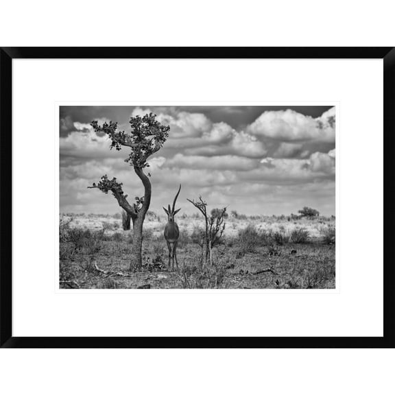 Global Gallery Marcel Rebro 'The Last Unicorn' Framed Wall Art