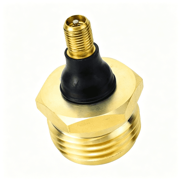 LADYGYM Rv Brass Blow Out Plug-Essential Rv Winterizing Tool-Heavy-Duty Brass Construction-Helps Clear Your Water Lines During Rv Winterization and Dewinterization(36153)