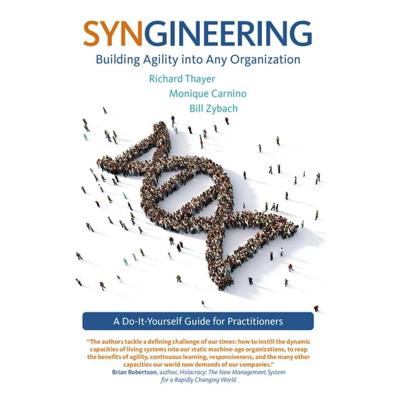 Syngineering: Building Agility into Any Organization : A Do-It-Yourself Guide for Practitioners (Paperback)