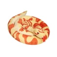 thumbnail image 1 of Serpiente gigante de peluche realista, gran animal de peluche abrazable, apto para niños, suave 19 millones de oro, 1 of 9