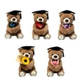 thumbnail image 1 of Oso de Peluche de Graduación con Sombrero y Flores, Lindo Oso Doctor de Peluche Regalo de Graduación, 1 of 6