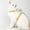 Yellow, variant on Cat Traction Rope Harness, I-Type Escape Prevention, T-shaped Anti-skid, Adjustable Wrapping, Material: Polyester, Includes 1 Piece, Outdoor Use for Cats Yellow