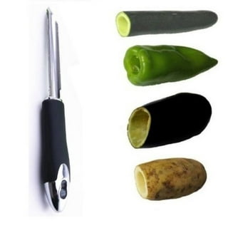 Electric Vegetable Corer,Electric Zucchini Corer,Stainless Steel Scale  Scraper,Multifunctional Scale Scraper Seafood Descaler Replaceable Blade