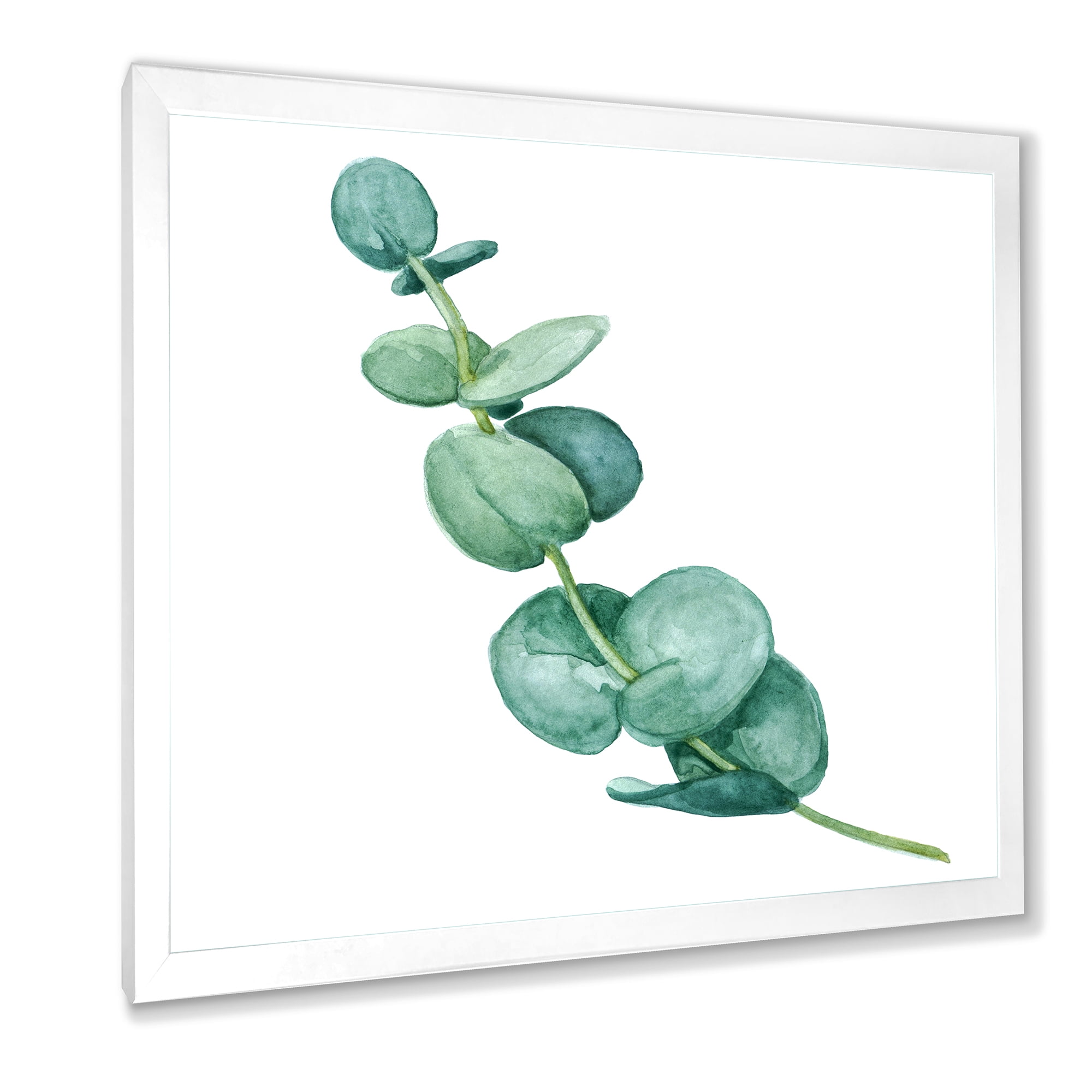 Designart 'Young Eucalyptus Branches and Leaves II' Traditional Framed Art Print