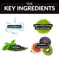 thumbnail image 6 of Force Factor ProbioSlim Probiotic and Weight Loss Supplement with Probiotics, 120 Capsules, 6 of 11