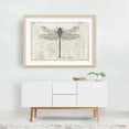 thumbnail image 3 of Anax Imperator - Drawing Line Art Botanical Vintage Nature Minimalist Oak Framed Wall Art Print 16 x 24 inches, 3 of 6