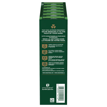 (Pack of 2) Irish Spring Original, Deodorant Bar Soap, 3.7 Ounce, 12 Bar Pack (2 pack)
