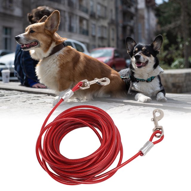 El Perro del Alambre de Acero Ata la Correa que Acampa Resistente A Las Mordeduras del Cable para los Perros Pequeños, Medios y Grandes Al Aire Libre