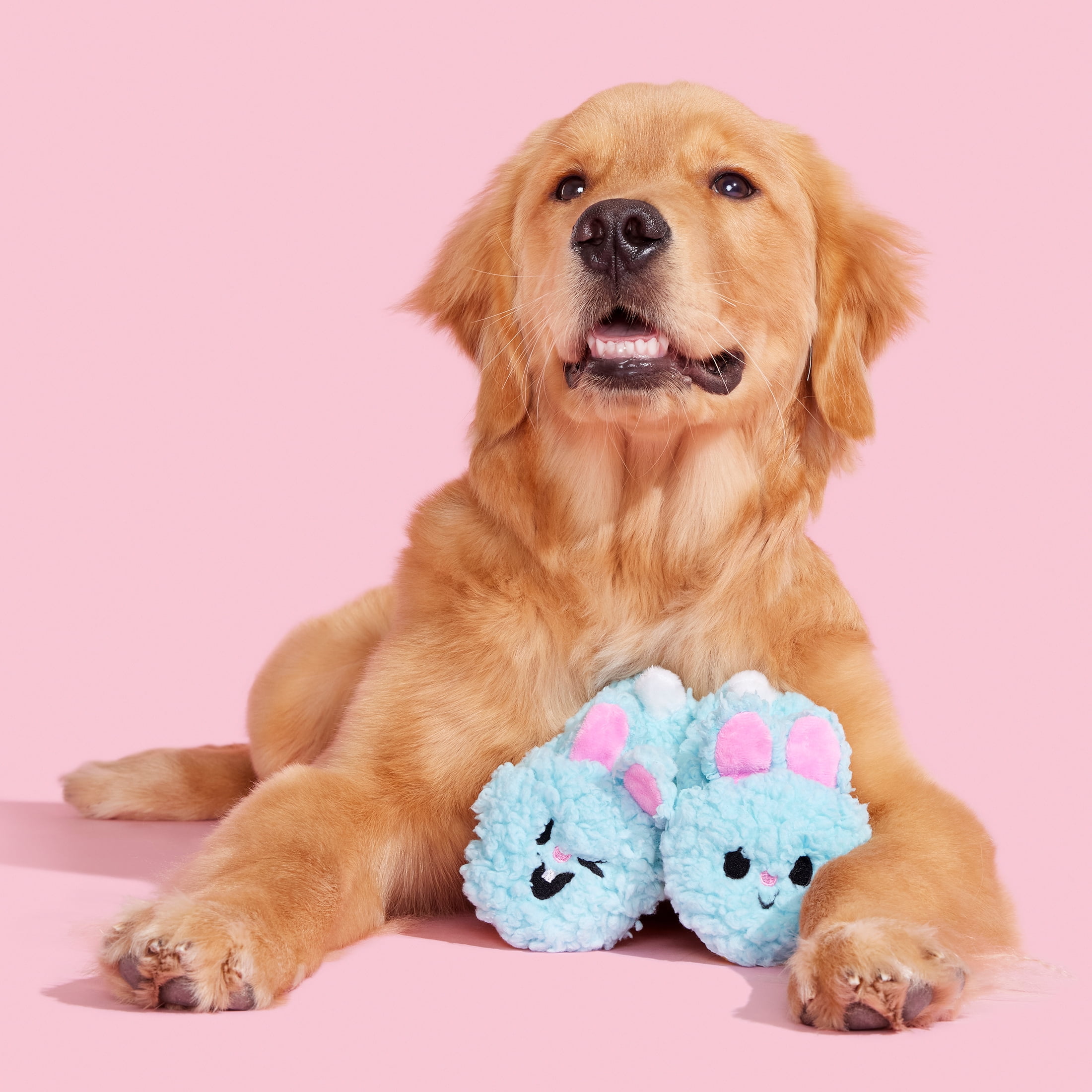 Toy shoppe top dog toys