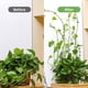 thumbnail image 3 of 100 Piezas de Pinzas de Plantas de Jardín, Pinzas de Fijación Una Presión para Soporte de Pared de Escalada para Plantas Gancho Adhesivo Fijador Autoadhesivo, 3 of 6