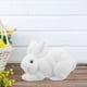 thumbnail image 3 of Conejito de Pascua, Conejo de espuma, Adorno de conejo, Adorno de Pascua, Adorno de conejo pequeño, Adorno de Pascua en miniatura para patio, 3 of 8
