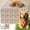 Brown-a, variant on Puppypad Pet Pee Pad,Puppypad with Pheromones,Puppy Pad Pee Pads for Dog