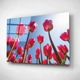 thumbnail image 2 of Epic Art 'Look Up in Pink' by Martin Podt, Acrylic Glass Wall Art, 24"x16", 2 of 3
