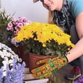 thumbnail image 4 of JoyMoreHome Gardening Gloves for Women Work Gloves Womens Garden Gloves for Yard & Outdoor Work Gardener Gifts, 4 of 6
