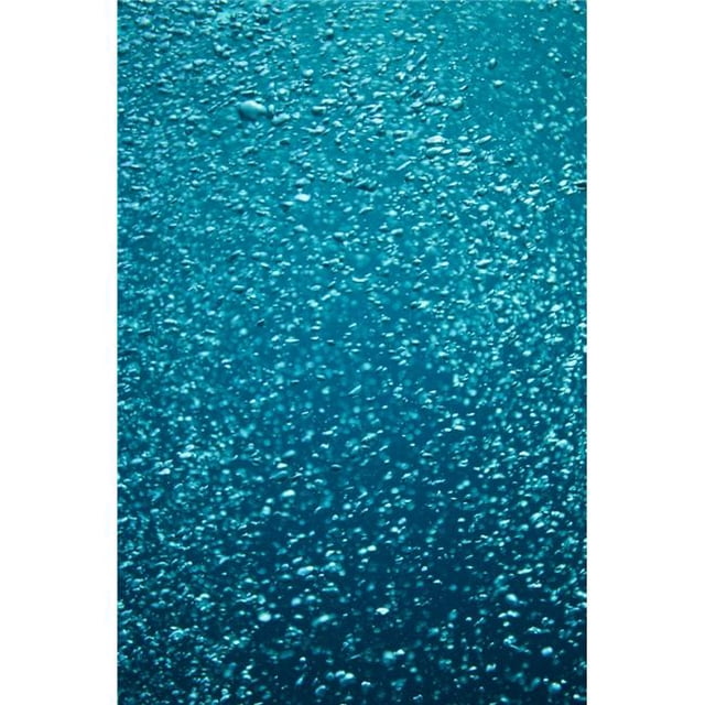Bubbles Underwater Poster Print, Large - 24 x 36