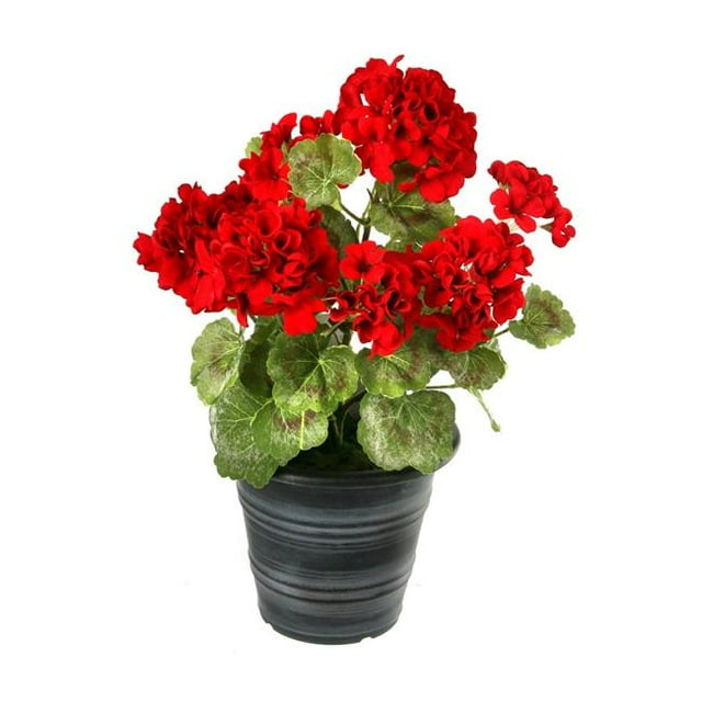 Regency International MTF19459-RED Géranium d'Été en Pot de 16 Po - Rouge