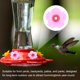 thumbnail image 5 of Uxcell 32-Pack Flores de Repuesto para Comederos de Colibrí, Piezas de Alimentación de Plástico para Comederos [Rosa, Rojo], 5 of 6