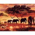 thumbnail image 1 of Pintura al óleo digital de bricolaje animal decorativo sin marco lienzo pintura sala de estar cuadro al óleo de pared tholdsy HA5692-00B, 1 of 6