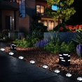 thumbnail image 4 of Guirnaldas De Luces Solares Con Estampado De Patas De 16.8 Pies, Luces Solares Para Gatos, Perros Y Animales (Juego De 8), Decoración Para Exteriores, Calienta A Tu Mascota Y Hace Que El Jardín Sea Má, 4 of 5