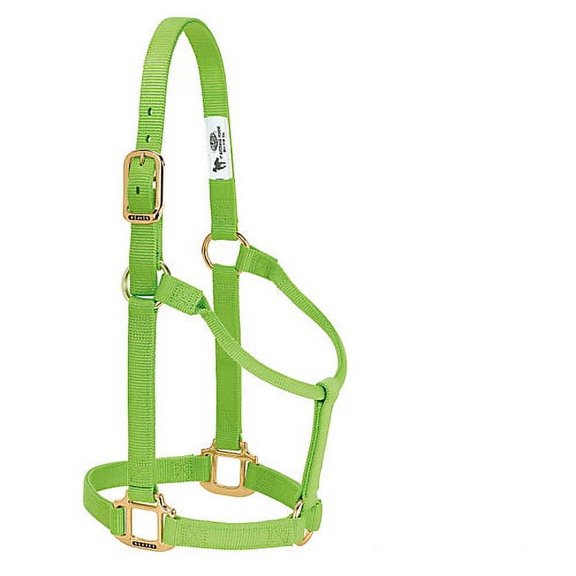 Weaver Original Nylon Halter AVG Lime Zest