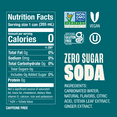 thumbnail image 4 of Zevia Zero Sugar Ginger Ale Soda Pop, 12 fl oz, 24 Pack of Cans, 4 of 6