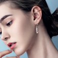 thumbnail image 4 of Lancharmed Silver Plated Stud Earrings,Zircon Pendant Earring Gifts Under 25 Earrings For Women, 4 of 7