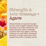 Maui Moisture Strength & Anti-Breakage + Agave Moisturizing Daily Shampoo with Aloe, 13 Fl Oz