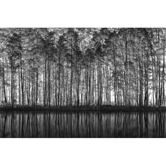 Pointillism Nature