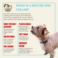 thumbnail image 4 of Country Brook Petz® 1 1/2 inch Deluxe Duty Honor Country Dog Collar, Medium, 4 of 6