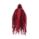 thumbnail image 5 of Capas con capucha de Halloween Gorra con capucha Accesorio de foto Accesorios de disfraces Capas Halloween Grim rojo jinwen Disfraz de parca, 5 of 8