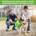 thumbnail image 4 of Juguete para perros QDAN, remolcador de balones de fútbol, juguete acuático para perros, 4 of 6