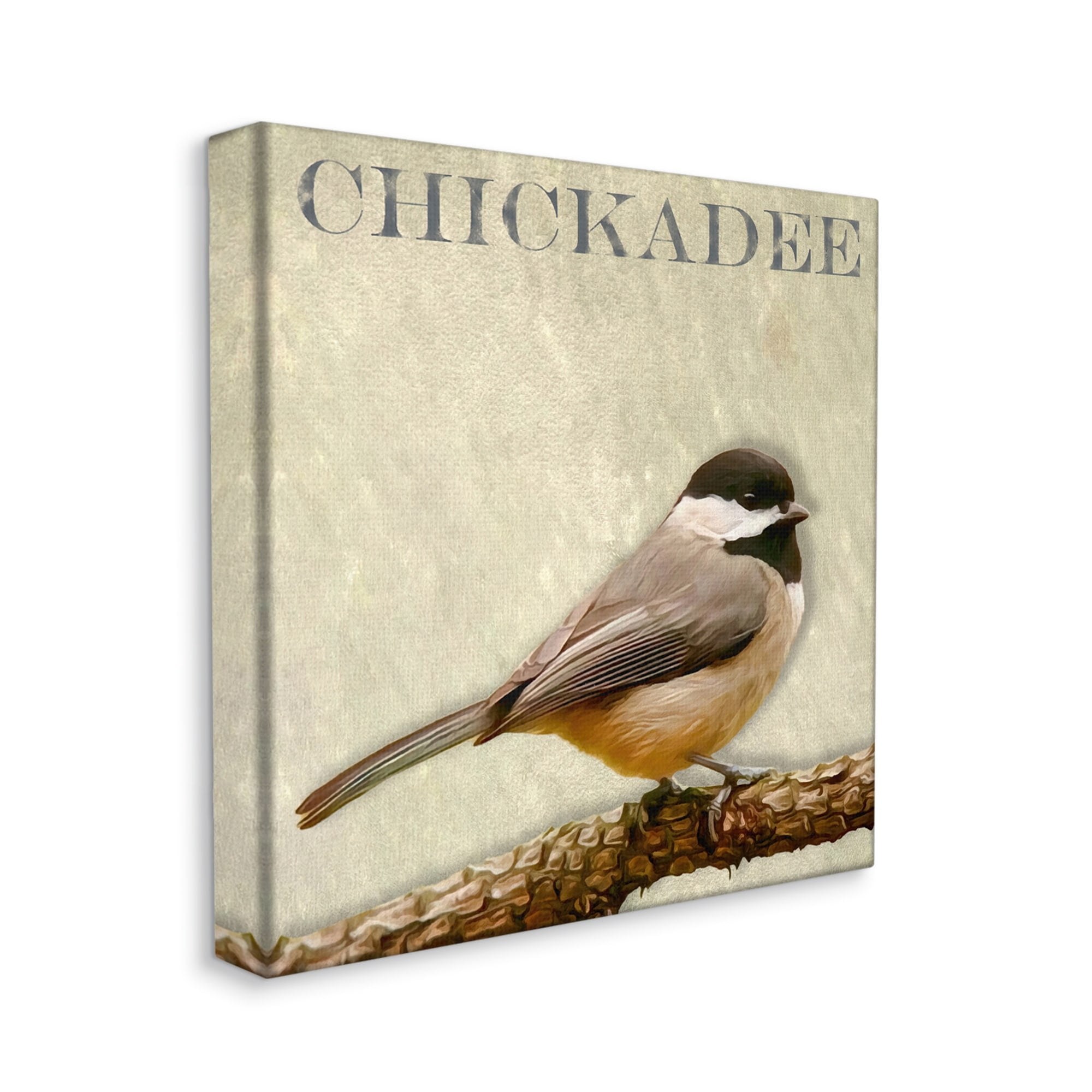 Chickadee Bird Tree Branch Text Illustration Animals & Insects Graphic Art Gallery-Wrapped Canvas Print Wall Art