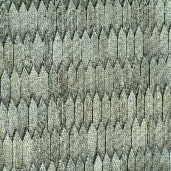 Ahgly Company Machine Washable Indoor Square Transitional Dark Olive Green Area Rugs, 4' Square