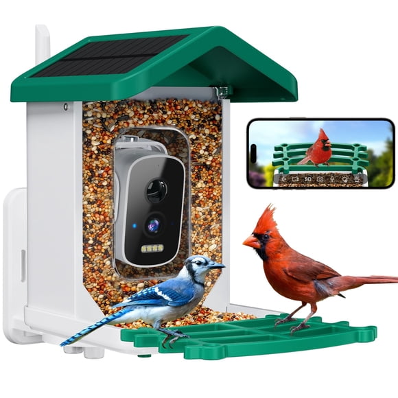 Comedero para pájaros Niuberber con cámara, IA de identificación de aves y energía solar, 1,6 L
