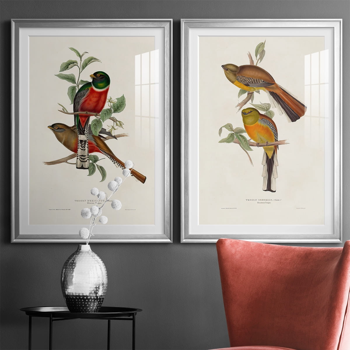 Wexford Home Elegant Trogons I Premium Framed Print, 30.5" x 42.5" - Ready to Hang, Silver (Set of 2)