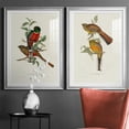 thumbnail image 5 of Wexford Home Elegant Trogons I Premium Framed Print, 30.5" x 42.5" - Ready to Hang, Silver (Set of 2), 5 of 9