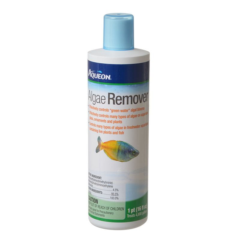 AU 16OZ ALGAE REMOVER