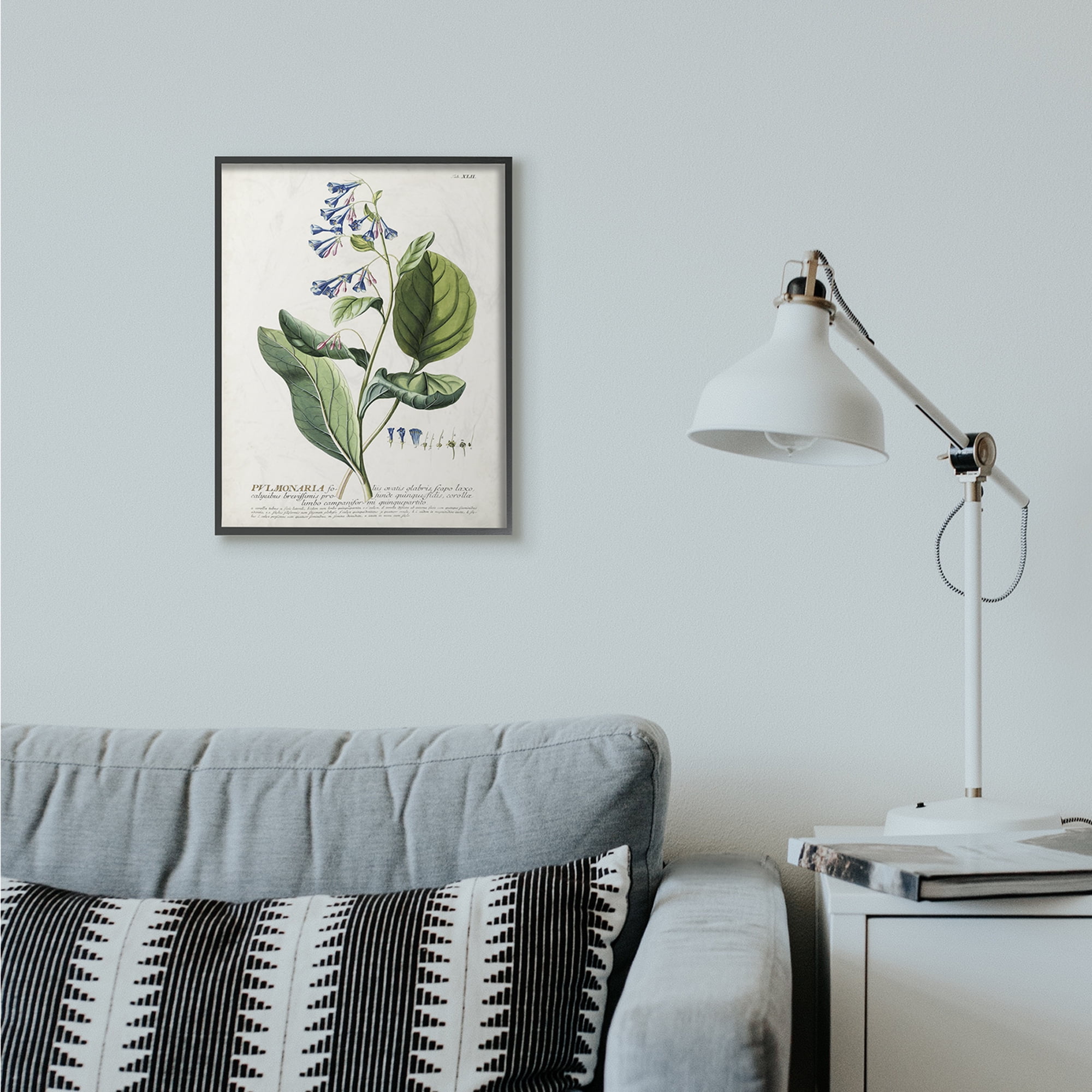 Stupell Industries Botanical Plant Illustration Blue Flowers Vintage Design Framed Wall Art by Unknown