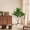Fiddle-leaf fig-115 cm, variant on Potted Artificial Fiddle Le-af Fig Tree - Evergreen Tropical Faux Plant for Home Living Room & Office Decor