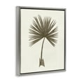 thumbnail image 3 of Stupell Industries Vintage Study of Palm Leaf Floral Painting Gray Floater Framed Canvas Art Print Wall Art, 17 x 21, 3 of 9