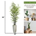 thumbnail image 6 of Vintage Home Artificial Faux Vintage Real Touch 7.17 Feet Tall Bamboo Tree With Fiberstone Planter, 6 of 6