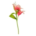 thumbnail image 2 of Ramo Artificial Mainstays 38.1 cm Tallo de Lirio Rosa, 2 of 4