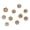 3 Rhinestone Mixed, variant on Elegant Pearls Safety Clasp Secure Clothing Alloy for Formal Event