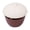 B, variant on AOOOWER Garden Snail Slug Trapping Box with Textured Lid for Moist Containers and Pots