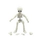 thumbnail image 1 of Cateissary Mini Pose esqueleto muñeca perro Animal modelo alta dureza esqueleto huesos acción colección modelo decoraciones conjunto Decoración Niño Hombre Esqueleto, 1 of 6