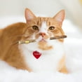 thumbnail image 3 of Bâtonnets de Cataire Naturelle pour Chat, Dentifrice Molaire pour Chat, Collations, 3 of 9