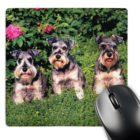 3dRose  Schnauzer  MousePad price history on PriceWatchPro